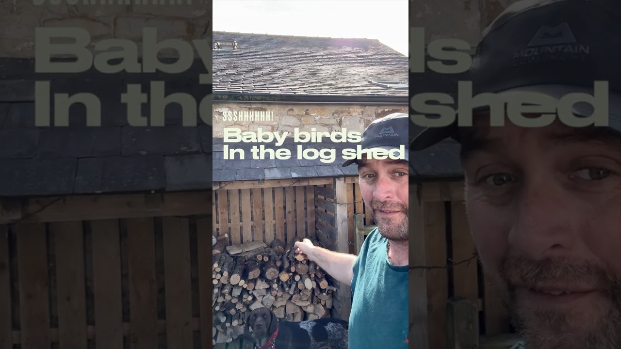 youtube placeholder image